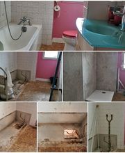 Vachette Thomas image 15