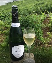 Champagne Bauchet image 3