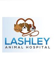 Lashley Animal Hospital image 15