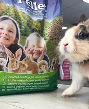 Halle aux Croquettes Labatut image 1