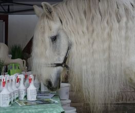 medicaVET  Inh. Nina Radünz Bild 3