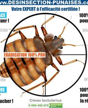 Technocid image 10