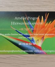 Pingon Amélie image 1