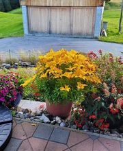 Alex Brembilla Bild 2