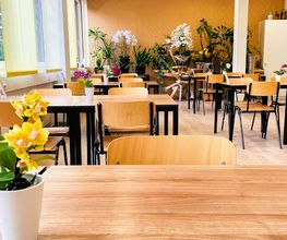Gogis Thai Restaurant & Take Away Bild 8