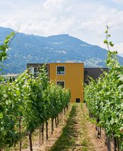 Candinas Maler Gipser AG Bild 8