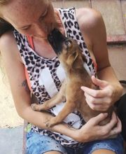 PAWtner Hundetraining Sabrina Rösch Bild 5