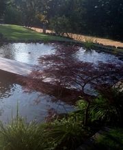 Exklusive Gärten Osnabrück Bild 4