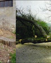 Clabeau Michael image 1