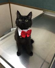 West Park Veterinary Services image 9