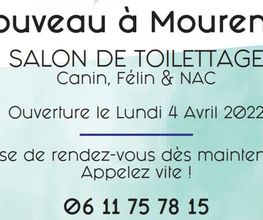 Coupe Tout'tout image 20