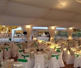 Carpas JM imagen 9