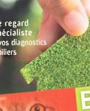 BA Diagnostic image 1