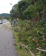 Services De Nettoyage image 8