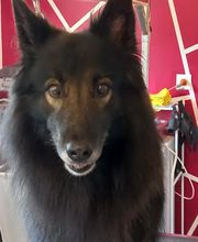 Can'idéal27 image 1