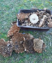 Boissonnade et Fils Ramonage image 10