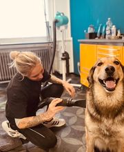Artgerecht-dogspa Bild 14