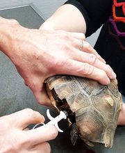 Clinique Vétérinaire des 2 Vallées image 20