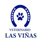 veterinariolasvinastalavera.png