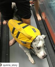 Skippack Animal Hospital image 7