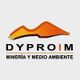 logo_dyproim.jpg