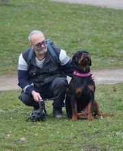 Seb Dog Educ 57 comportementaliste canin image 1