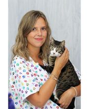 Veterinario Alcorcón imagen 7