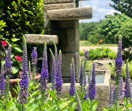 GFW - Garten - Findlinge - Wasserspiele