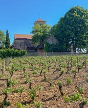 Nuiton Beaunoy image 6