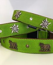 dogsland GmbH Bild 12