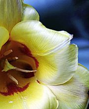 Moulin Christophe image 1