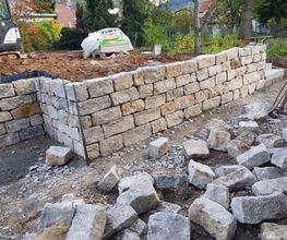 Gartenpflege und Gartengestaltung Bild 10