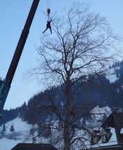 Kallen Gartenbau und Unterhalt Bild 6