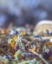 Praxis NatürlechGsund Bild 2