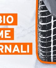 Euromaster Pneus Pio immagine 3