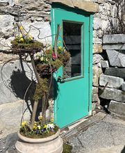 Toad Hall Flowers image 2