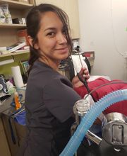 Thrive Pet Healthcare - Falcon image 4