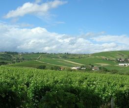 La Barbotaine Champault Frédéric image 1