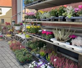 Blumeneck Weischlitz Bild 2