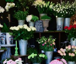 Fleuriste Flore Idées image 1