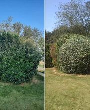 La Clé des Jardins image 4