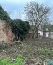 Roye Garden image 16