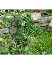 GARTEN KERN P. - GALABAU Bild 2