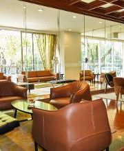 Barceló México Reforma imagen 18