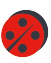 COCCINELLE EXPRESS image 1