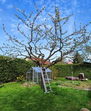 Wurzel & Blüte Bild 4