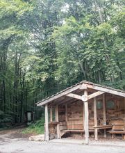 FriedWald Bad Berka Bild 5