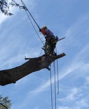 L'Art Boricole image 4