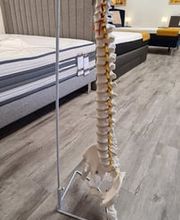 1 2 3 Sommeil SAINT-OMER - literie, matelas, sommiers image 1