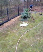 Alex Haus und Hofservice Bild 14